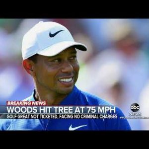 LAPD: Tiger Woods’ vehicle crash precipitated by high velocity, hit tree