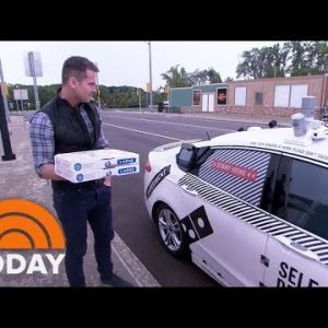 Domino’s Pizza Hopes To Roll Out Self-Riding Birth | TODAY