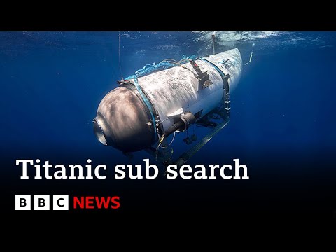 Why the Great sub is so exhausting to search out – BBC News