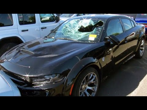 Looters Drive Off With 80 Luxury Automobiles From Dealership