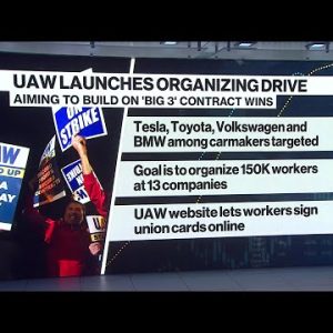 United Auto Workers Targets Tesla, 12 Varied Carmakers in Organizing Pressure