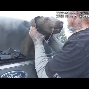Dog Rescued From Burning Automobile Thanks Cop With Kisses