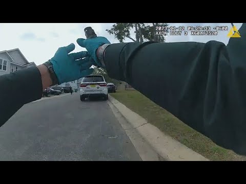 Deputy Spooked by Falling Acorn Fires Gun at Suspect