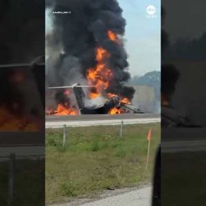 Minute airplane collides with automobile on Florida dual carriageway, police hiss