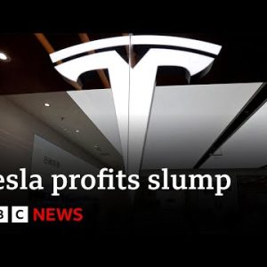 Tesla earnings prick back in half of as demand falls | BBC News