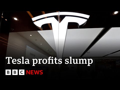 Tesla earnings prick back in half of as demand falls | BBC News