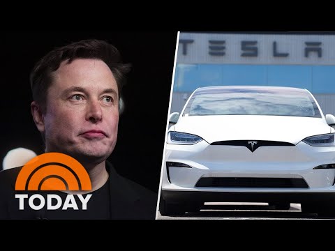 Elon Musk below stress as Tesla’s gross sales targets, stock tag budge
